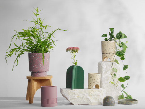 The Best Indoor Plants for Growing in a Vase