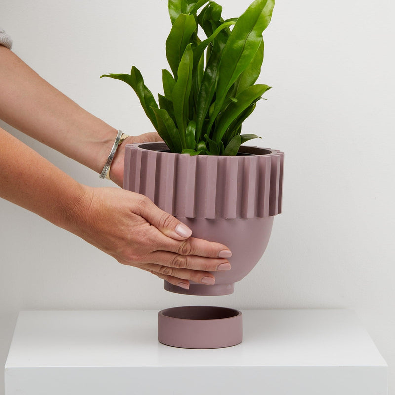 Solstice Planter - usa.capradesigns